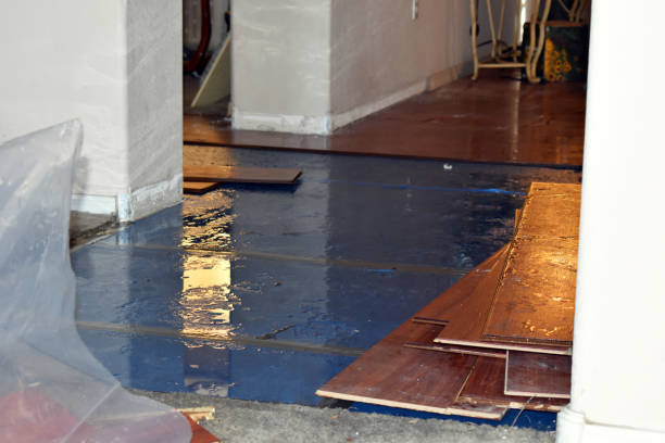 Professional Water Damage technician working in Riverside, IL